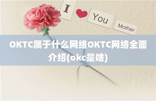 OKTC属于什么网络OKTC网络全面介绍(okc是啥)