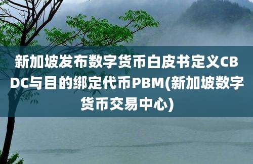 新加坡发布数字货币白皮书定义CBDC与目的绑定代币PBM(新加坡数字货币交易中心)