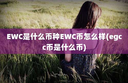 EWC是什么币种EWC币怎么样(egcc币是什么币)