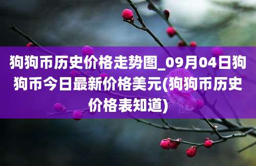 狗狗币历史价格走势图_09月04日狗狗币今日最新价格美元(狗狗币历史价格表知道)