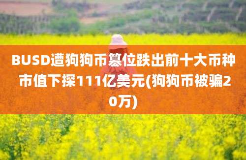 BUSD遭狗狗币篡位跌出前十大币种 市值下探111亿美元(狗狗币被骗20万)