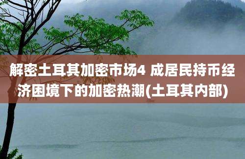 解密土耳其加密市场4 成居民持币经济困境下的加密热潮(土耳其内部)