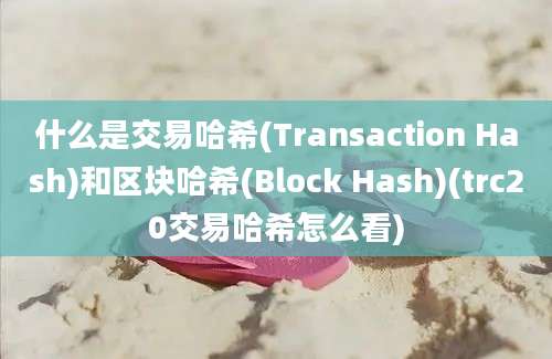 什么是交易哈希(Transaction Hash)和区块哈希(Block Hash)(trc20交易哈希怎么看)