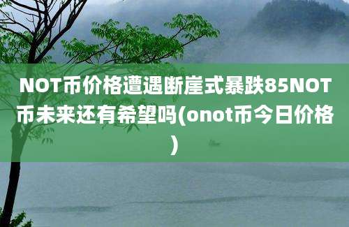 NOT币价格遭遇断崖式暴跌85NOT币未来还有希望吗(onot币今日价格)