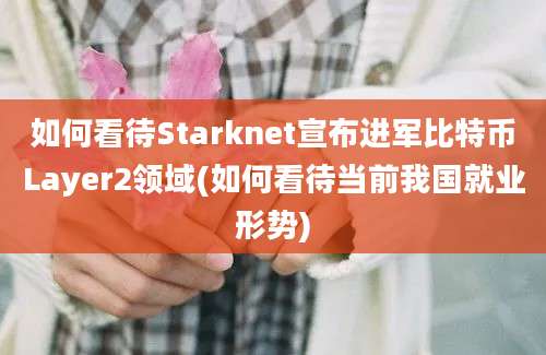 如何看待Starknet宣布进军比特币Layer2领域(如何看待当前我国就业形势)