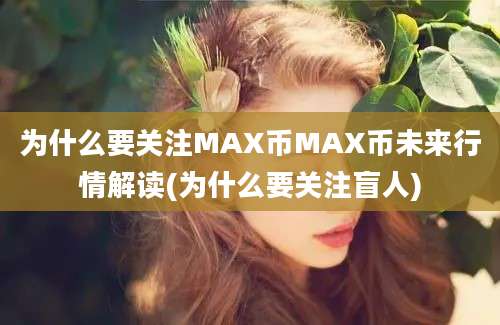 为什么要关注MAX币MAX币未来行情解读(为什么要关注盲人)