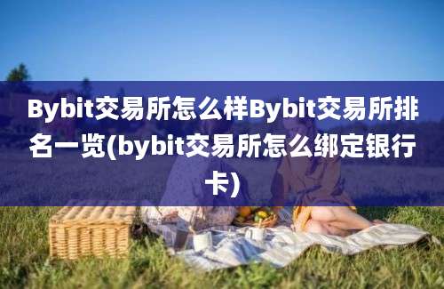 Bybit交易所怎么样Bybit交易所排名一览(bybit交易所怎么绑定银行卡)