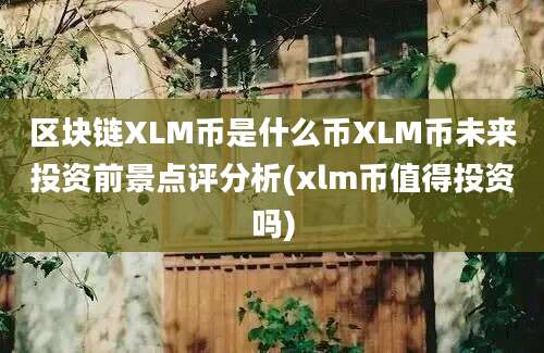 区块链XLM币是什么币XLM币未来投资前景点评分析(xlm币值得投资吗)