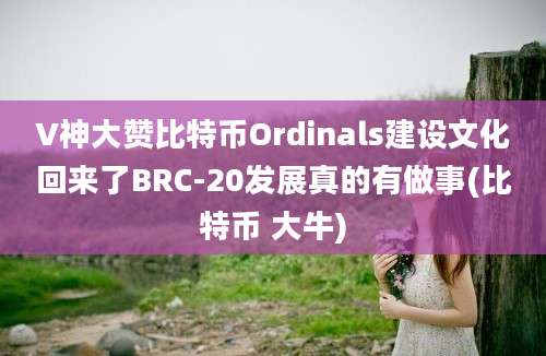 V神大赞比特币Ordinals建设文化回来了BRC-20发展真的有做事(比特币 大牛)