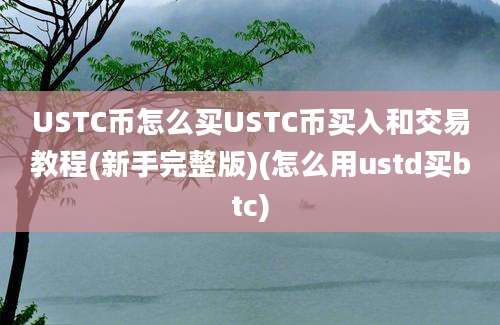 USTC币怎么买USTC币买入和交易教程(新手完整版)(怎么用ustd买btc)