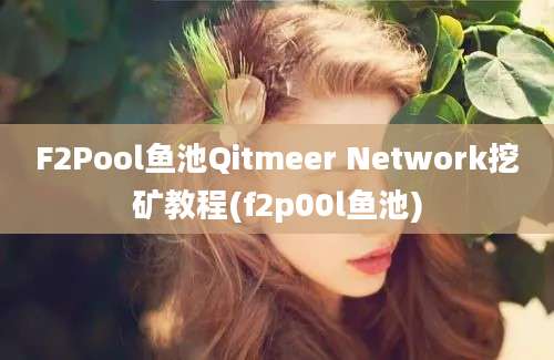 F2Pool鱼池Qitmeer Network挖矿教程(f2p00l鱼池)