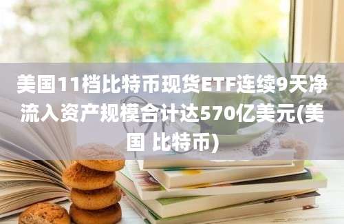 美国11档比特币现货ETF连续9天净流入资产规模合计达570亿美元(美国 比特币)