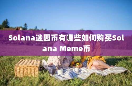 Solana迷因币有哪些如何购买Solana Meme币