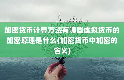 加密货币计算方法有哪些虚拟货币的加密原理是什么(加密货币中加密的含义)