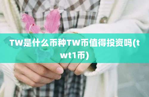 TW是什么币种TW币值得投资吗(twt1币)