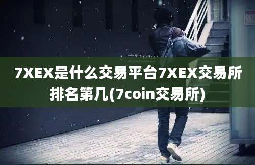 7XEX是什么交易平台7XEX交易所排名第几(7coin交易所)