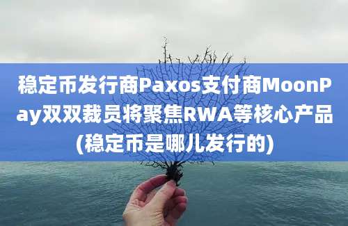 稳定币发行商Paxos支付商MoonPay双双裁员将聚焦RWA等核心产品(稳定币是哪儿发行的)