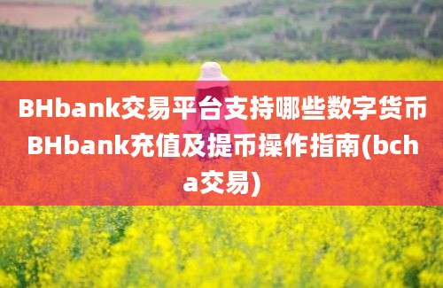 BHbank交易平台支持哪些数字货币BHbank充值及提币操作指南(bcha交易)