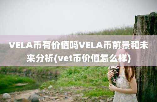 VELA币有价值吗VELA币前景和未来分析(vet币价值怎么样)