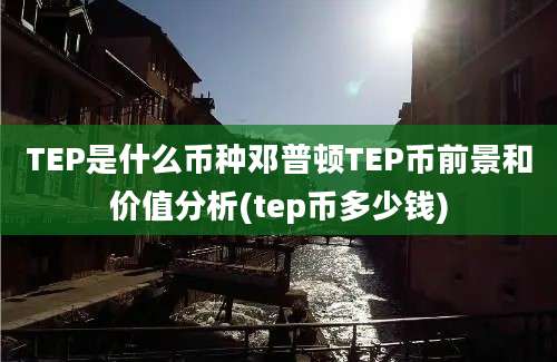 TEP是什么币种邓普顿TEP币前景和价值分析(tep币多少钱)