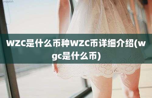 WZC是什么币种WZC币详细介绍(wgc是什么币)