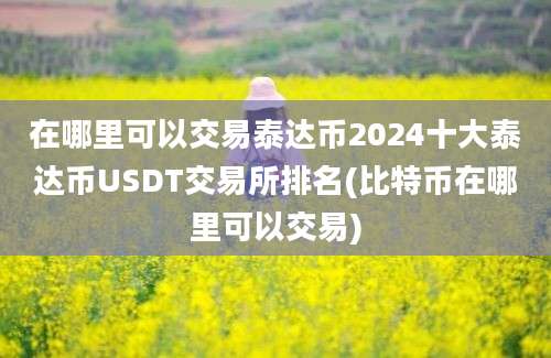 在哪里可以交易泰达币2024十大泰达币USDT交易所排名(比特币在哪里可以交易)