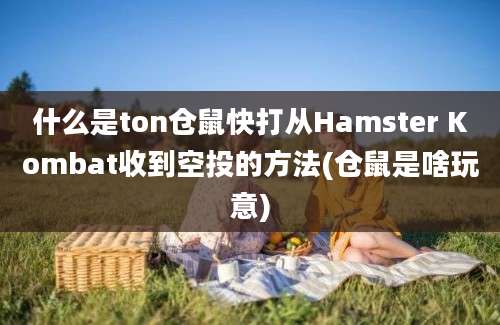 什么是ton仓鼠快打从Hamster Kombat收到空投的方法(仓鼠是啥玩意)