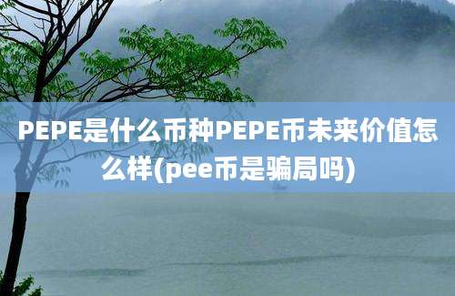 PEPE是什么币种PEPE币未来价值怎么样(pee币是骗局吗)