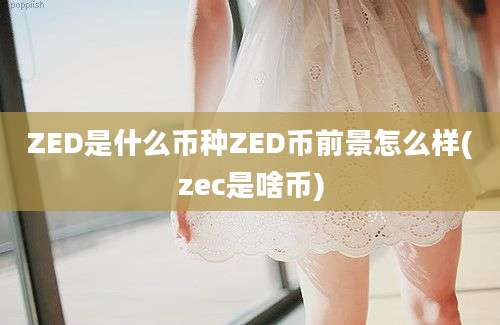 ZED是什么币种ZED币前景怎么样(zec是啥币)