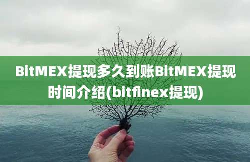 BitMEX提现多久到账BitMEX提现时间介绍(bitfinex提现)