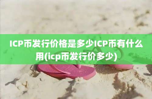 ICP币发行价格是多少ICP币有什么用(icp币发行价多少)