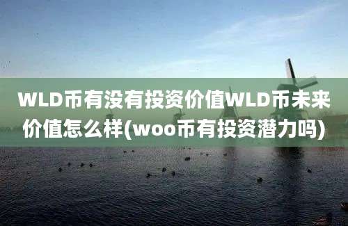 WLD币有没有投资价值WLD币未来价值怎么样(woo币有投资潜力吗)