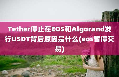 Tether停止在EOS和Algorand发行USDT背后原因是什么(eos暂停交易)