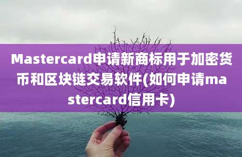 Mastercard申请新商标用于加密货币和区块链交易软件(如何申请mastercard信用卡)