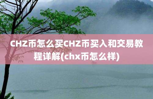 CHZ币怎么买CHZ币买入和交易教程详解(chx币怎么样)