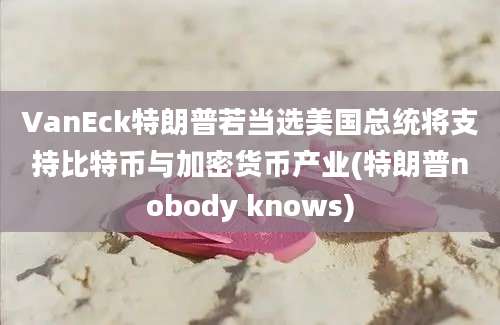 VanEck特朗普若当选美国总统将支持比特币与加密货币产业(特朗普nobody knows)