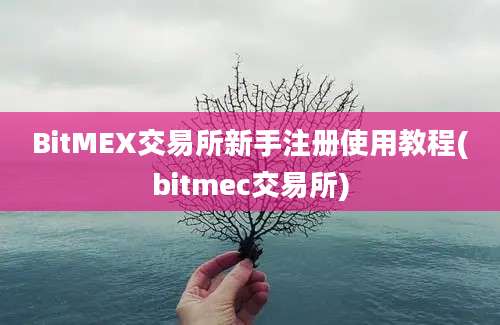 BitMEX交易所新手注册使用教程(bitmec交易所)