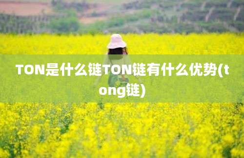 TON是什么链TON链有什么优势(tong链)