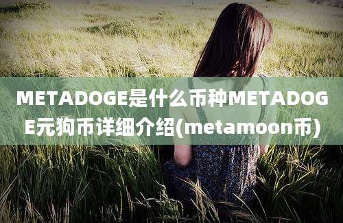 METADOGE是什么币种METADOGE元狗币详细介绍(metamoon币)