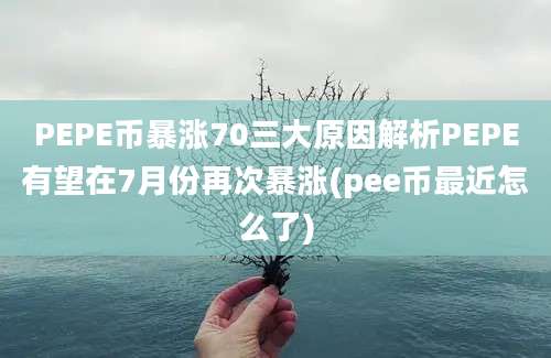 PEPE币暴涨70三大原因解析PEPE有望在7月份再次暴涨(pee币最近怎么了)