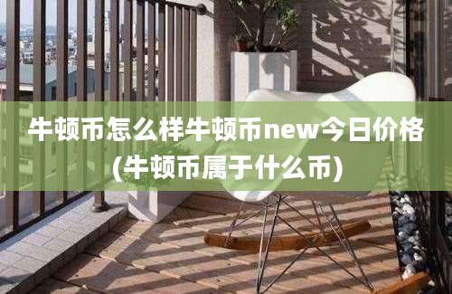 牛顿币怎么样牛顿币new今日价格(牛顿币属于什么币)