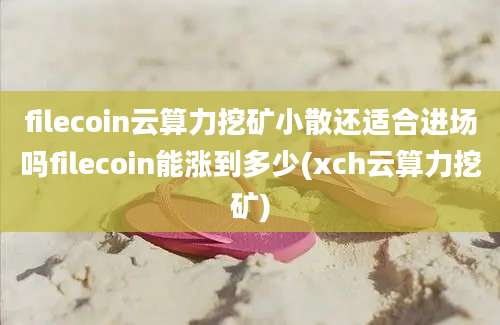 filecoin云算力挖矿小散还适合进场吗filecoin能涨到多少(xch云算力挖矿)