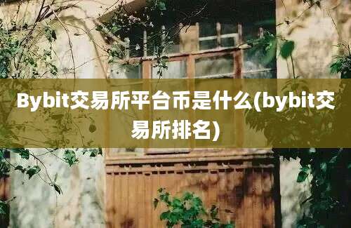 Bybit交易所平台币是什么(bybit交易所排名)