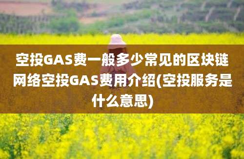 空投GAS费一般多少常见的区块链网络空投GAS费用介绍(空投服务是什么意思)