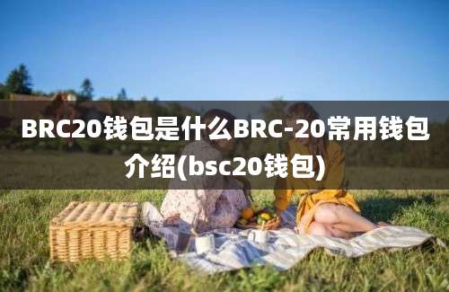 BRC20钱包是什么BRC-20常用钱包介绍(bsc20钱包)