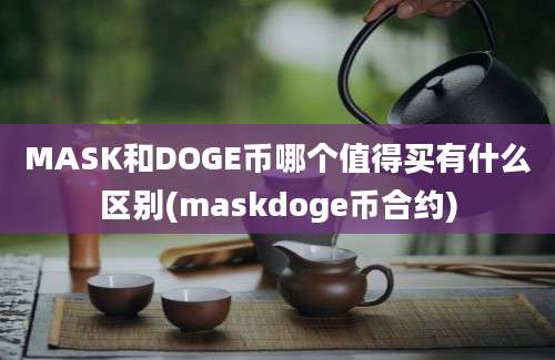 MASK和DOGE币哪个值得买有什么区别(maskdoge币合约)