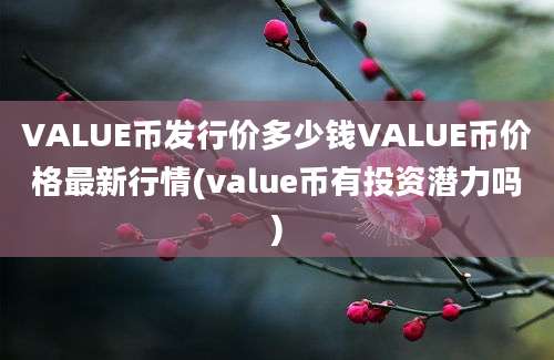 VALUE币发行价多少钱VALUE币价格最新行情(value币有投资潜力吗)