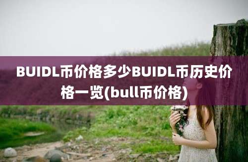 BUIDL币价格多少BUIDL币历史价格一览(bull币价格)