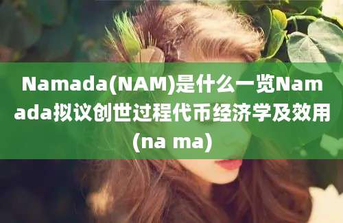 Namada(NAM)是什么一览Namada拟议创世过程代币经济学及效用(na ma)