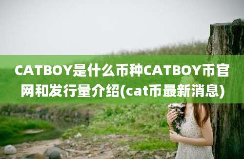 CATBOY是什么币种CATBOY币官网和发行量介绍(cat币最新消息)